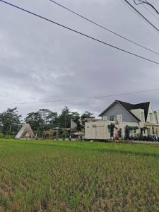 Sawah Hilang, Kafe Terbilang